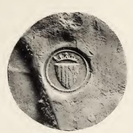 Sagarra_159_contrasello