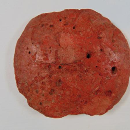 Sello menor Jaime II ACA 80 reverso