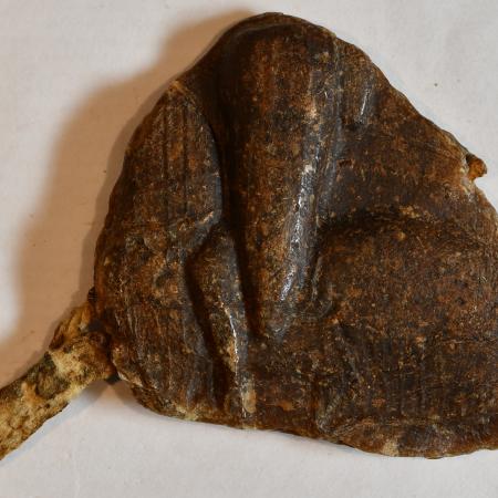 Sello ecuestre de Pedro II